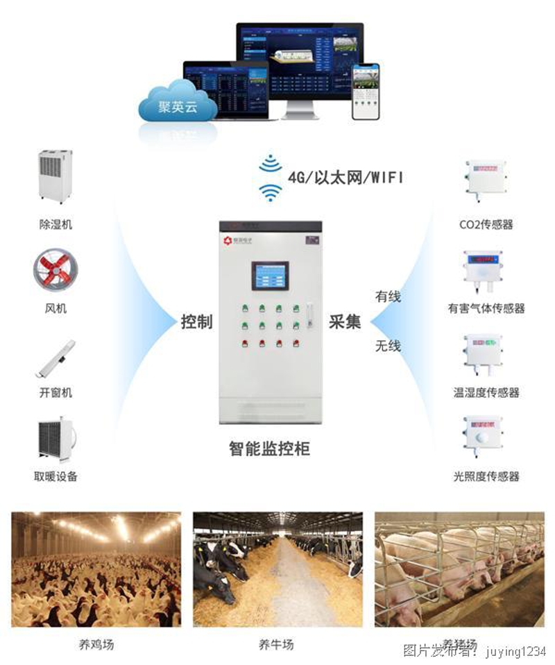 养殖业中的通风设备:助力健康的呼吸
